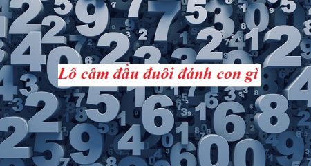 Lô câm đầu đuôi nên đánh con gì cho dễ trúng, lãi cao